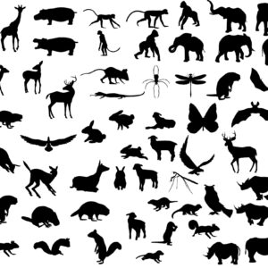 Exkurze do laboratoří zoologie bezobratlých a obratlovců